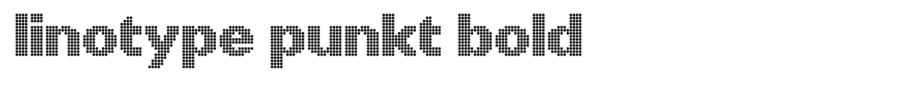 Linotype Punkt Bold